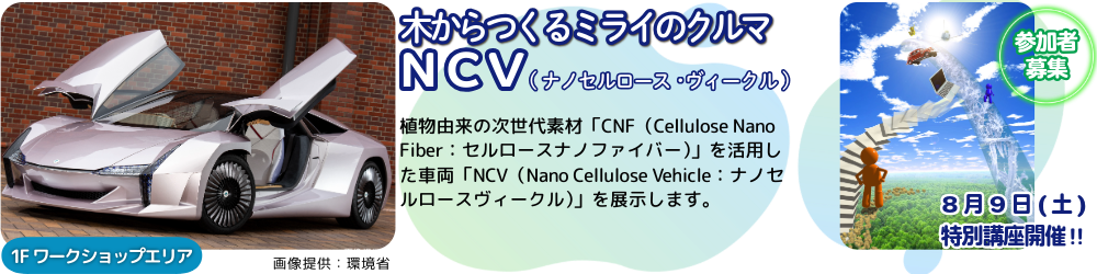 特別展示