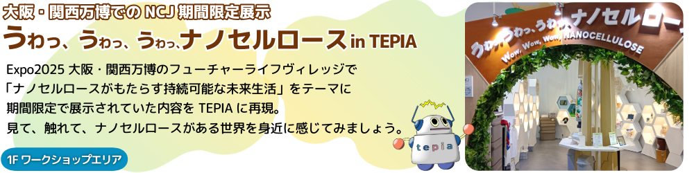 特別展示