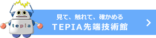 TEPIA[Zp